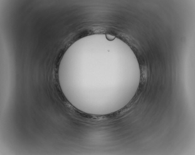 X0000113000667200908270921
