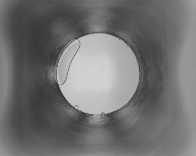 X0000113000672200908270921