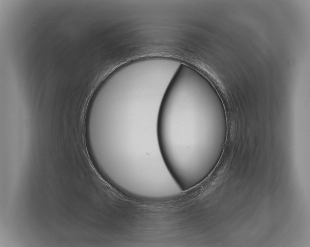 X0000113000673200908270920