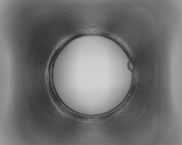 X0000113000674200908270920