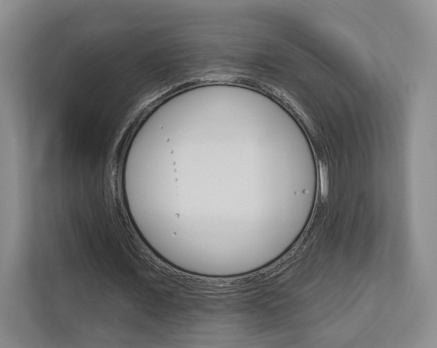 X0000113000675200908270920