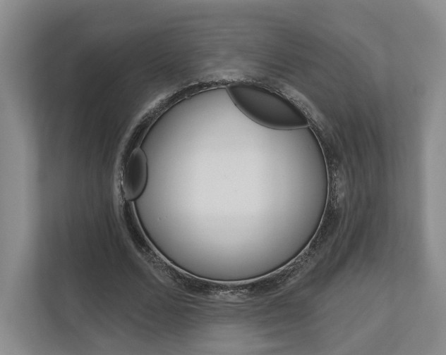 X0000113000680200908270920