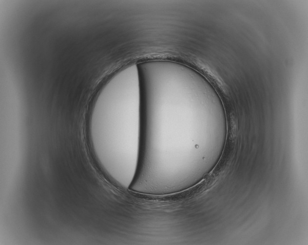 X0000113000681200908270920