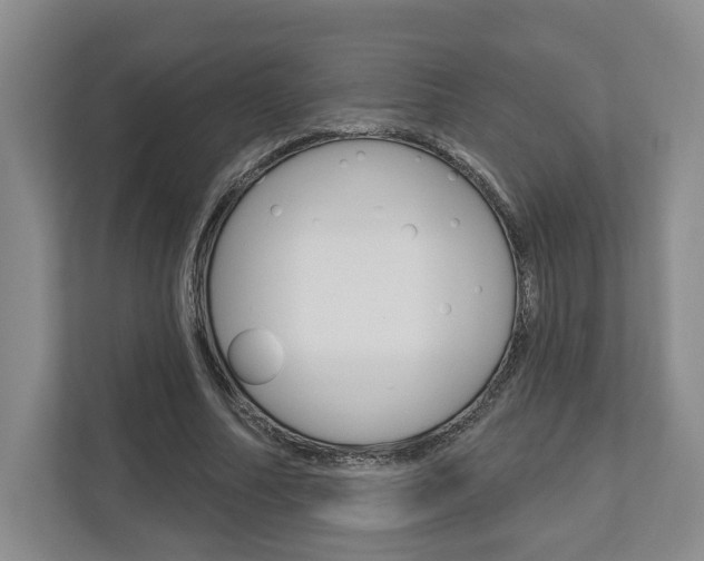 X0000113000682200908270920