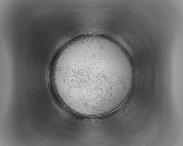 X0000113000683200908270920