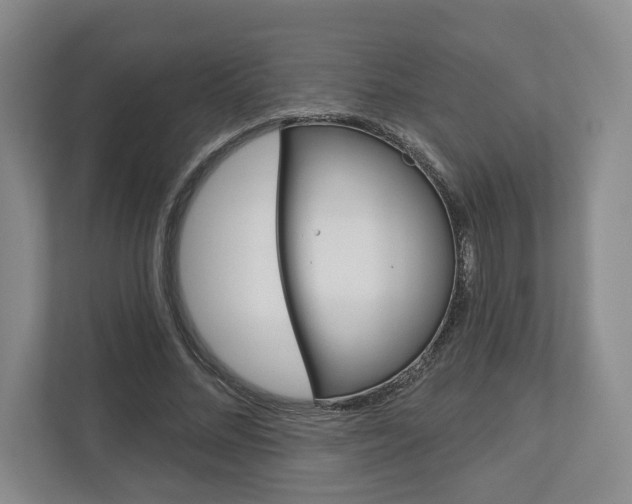 X0000113000684200908270920
