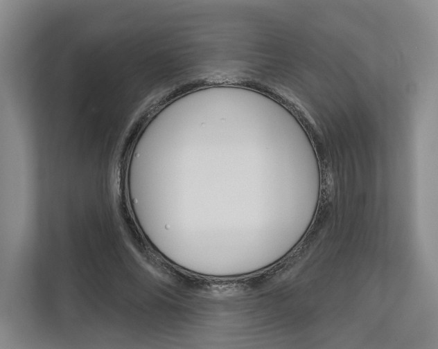 X0000113000686200908270920