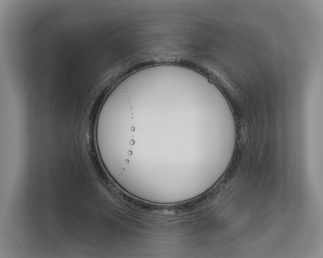 X0000113000687200908270920