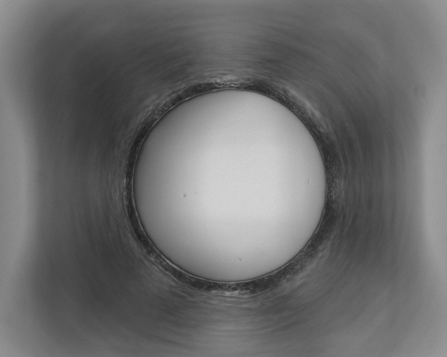 X0000113000689200908270920