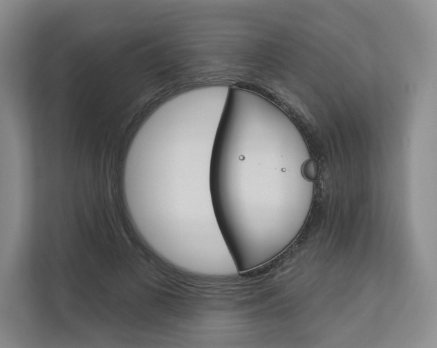 X0000113000693200908270920