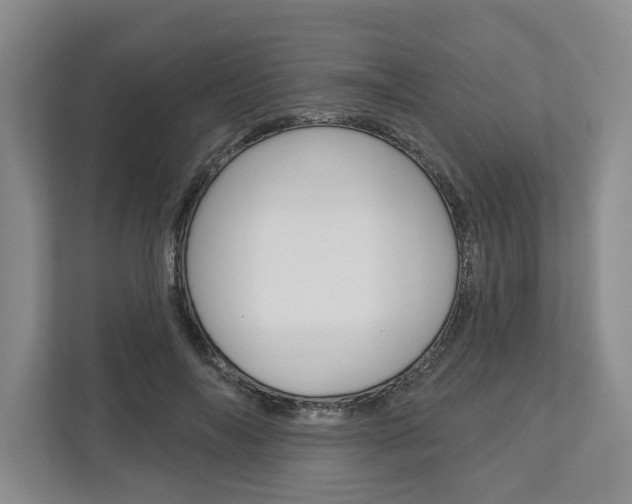 X0000113000694200908270920