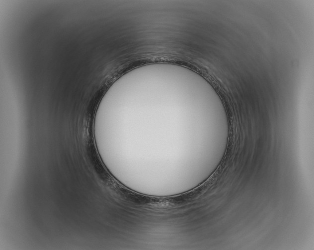 X0000113000695200908270920