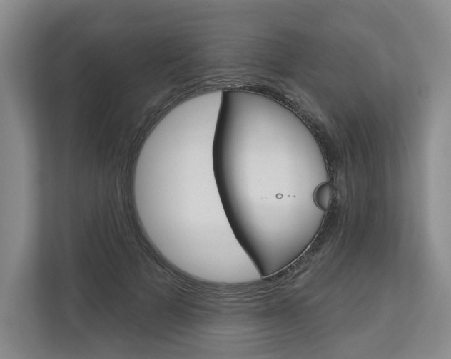 X0000113000697200908270920
