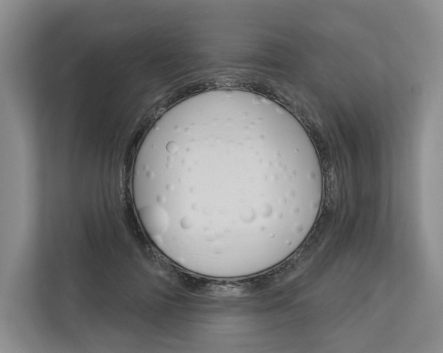 X0000113000698200908270920