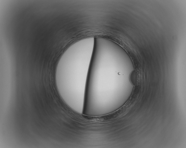 X0000113000700200908270920