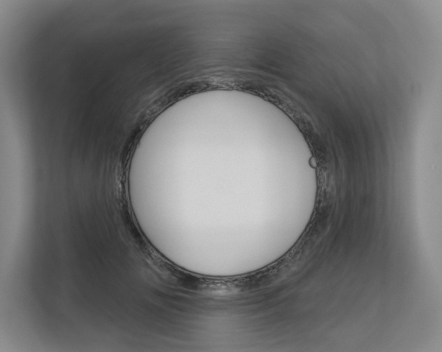 X0000113000702200908270920