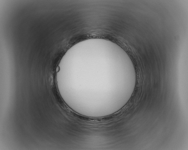 X0000113000703200908270920