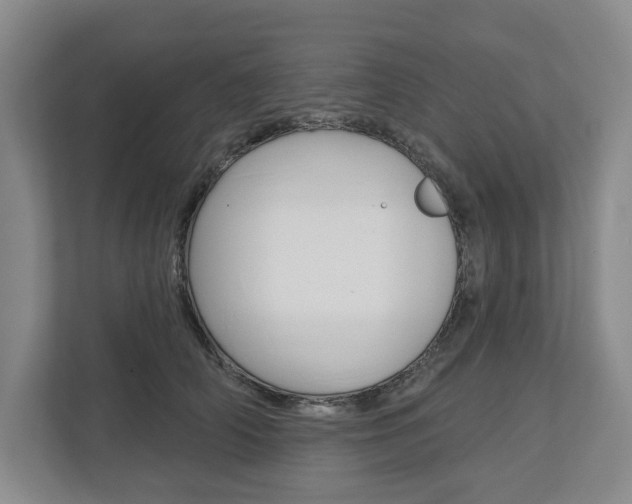 X0000113000706200908270920