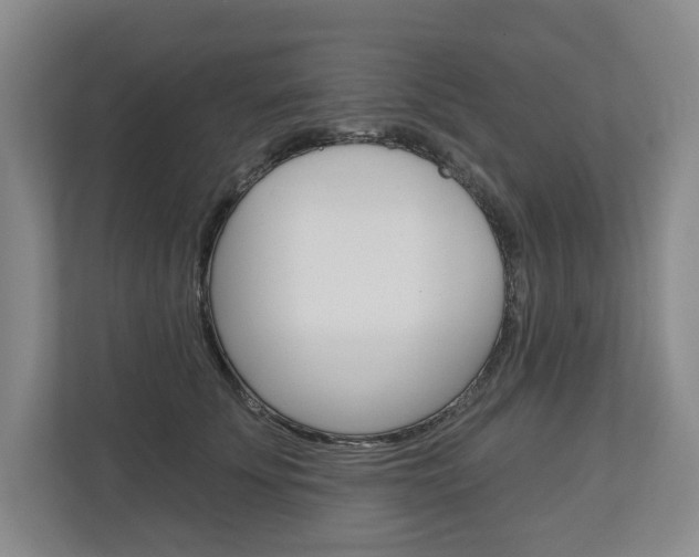 X0000113000707200908270920