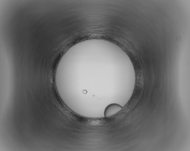 X0000113000710200908270920