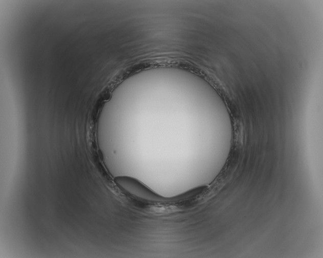 X0000113000712200908270920