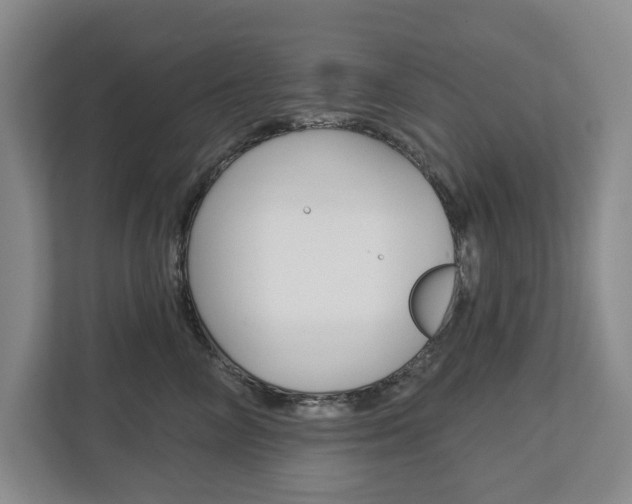 X0000113000714200908270920