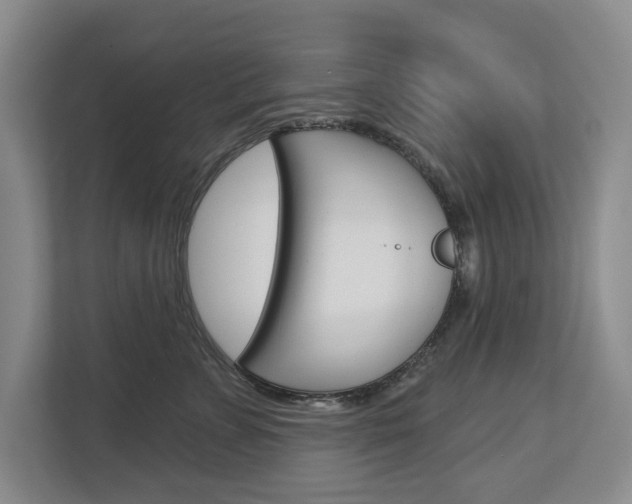 X0000113000715200908270920