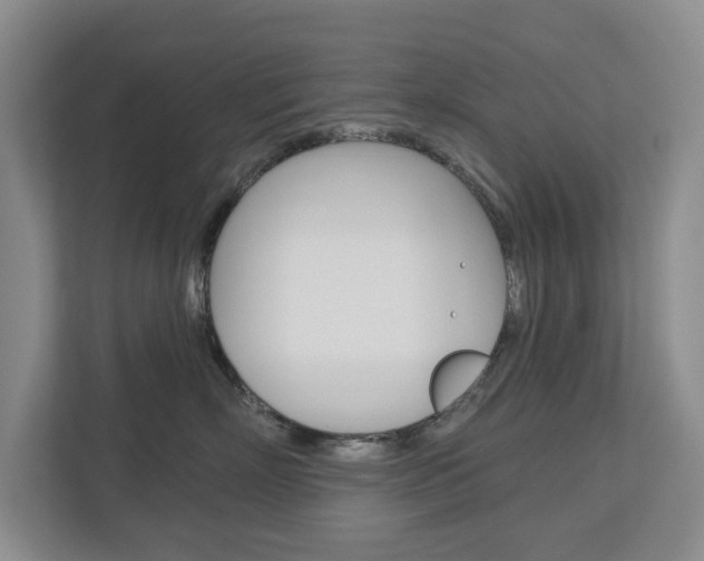 X0000113000718200908270919