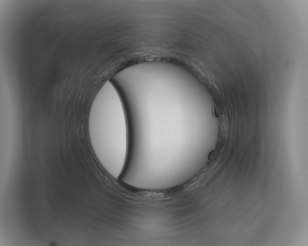 X0000113000719200908270919