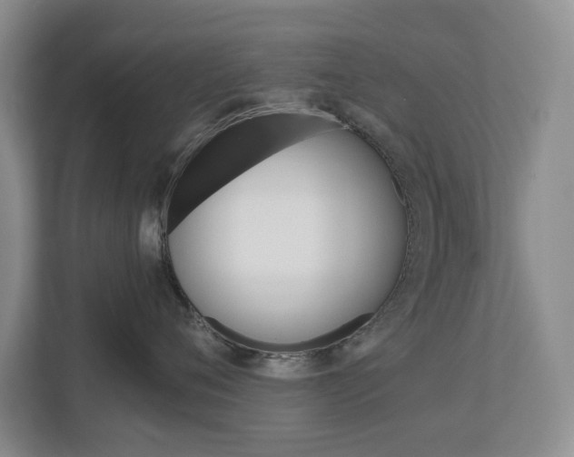 X0000113000720200908270919