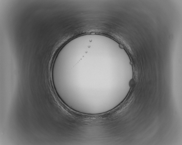 X0000113000721200908270919