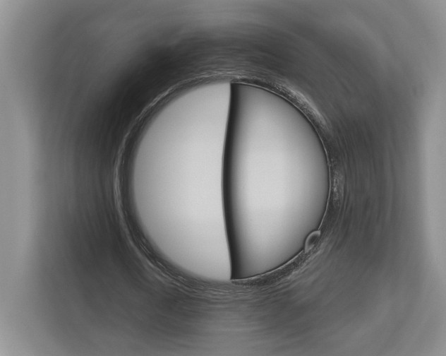 X0000113000722200908270919