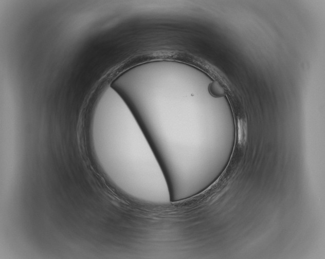 X0000113000723200908270919