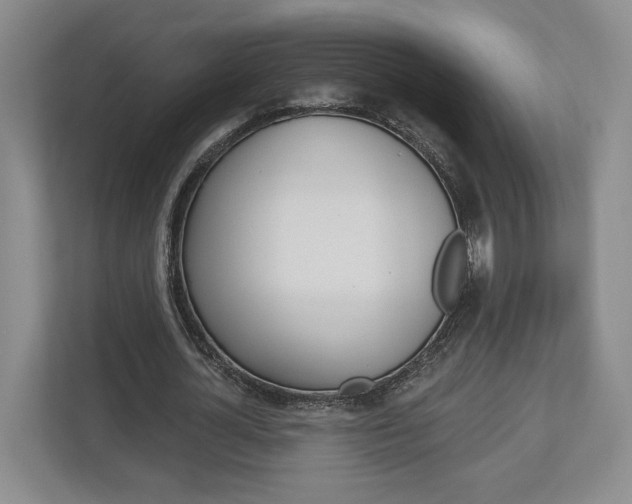 X0000113000724200908270919