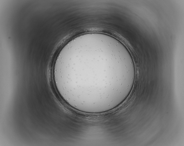 X0000113000725200908270919