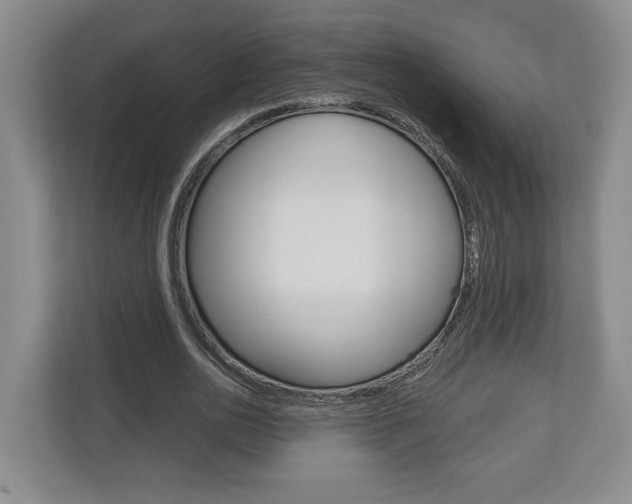 X0000113000726200908270919