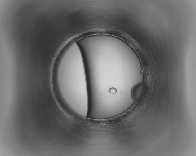 X0000113000728200908270919