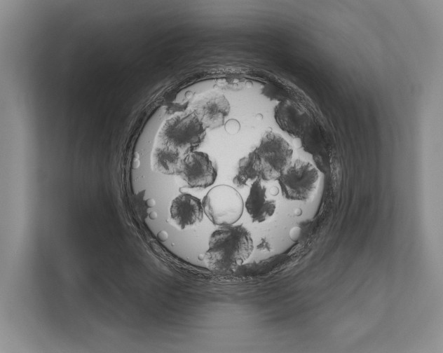 X0000113000729200908270919