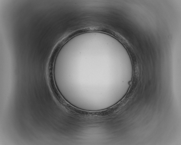 X0000113000730200908270919