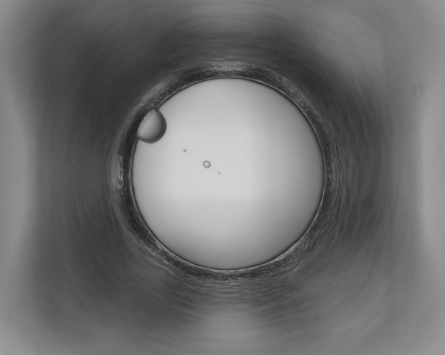 X0000113000731200908270919