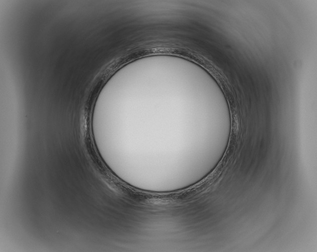 X0000113000733200908270919