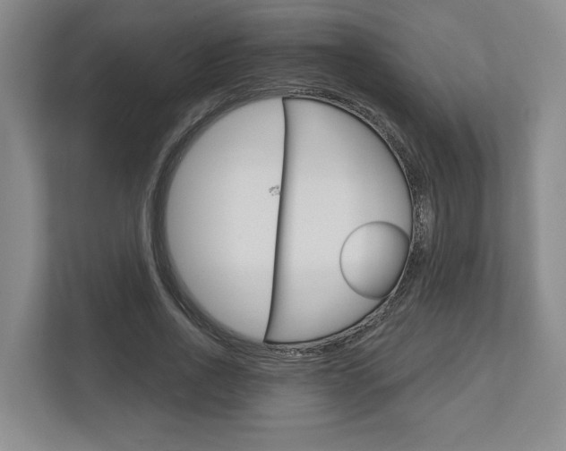 X0000113000734200908270919