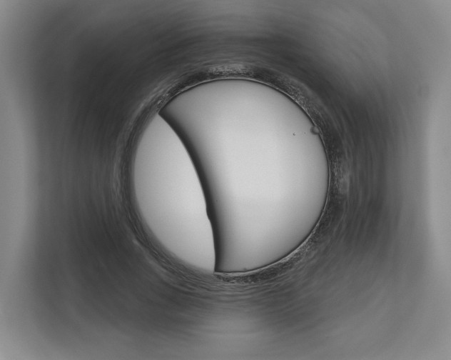X0000113000735200908270919