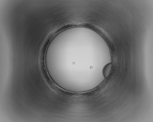 X0000113000736200908270919