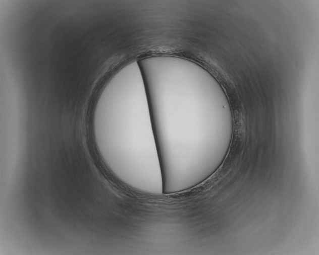 X0000113000738200908270919