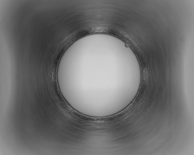 X0000113000741200908270919