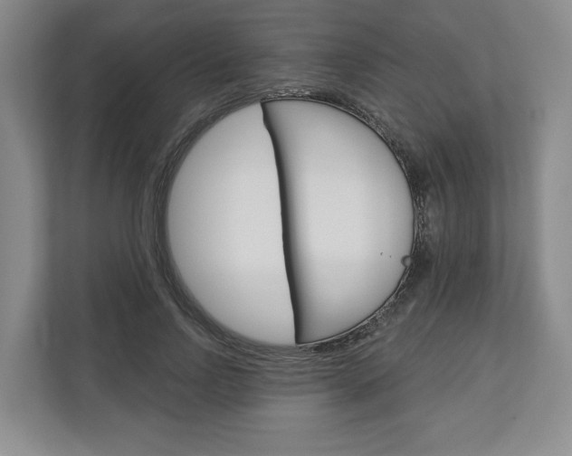 X0000113000742200908270919