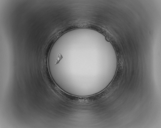 X0000113000744200908270919