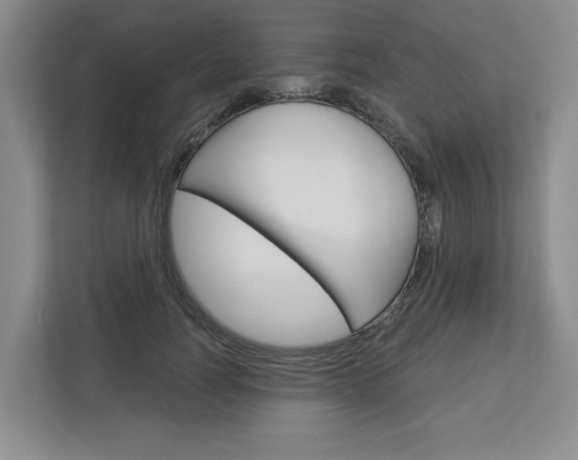 X0000113000746200908270919