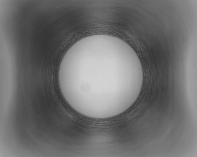 X0000113000750200908270919
